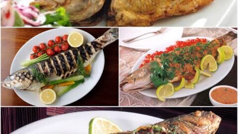 مطعم أصداف الجزر في الرياض (الاسعار +المنيو +الموقع)