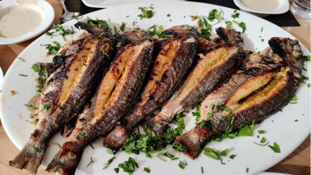 مطعم الصعيدي للأسماك في جدة (الاسعار+ المنيو+ الموقع)